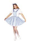 Prarie Girl adult costume