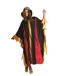 Evil Queen adult costume O/S