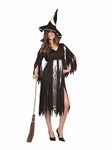 Mystic Witch adult 1 pccostume- black dress w/silver stripes
