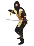 Ninja master