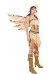 Indian Fairy Wings with feather