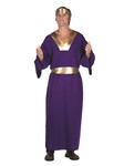 Wiseman (Purple) adult male costume