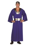 Wiseman (Blue) - adult male costume O/S