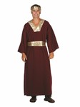 Wiseman (Wine) - adult male costume OS