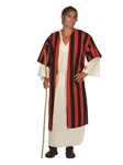 Moses adult 3 pc costume