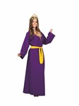 Queen Esther adult 2 pc costume