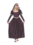 Renaissance Princess adult costume