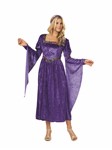 Renaissance Beauty adult costume O/S