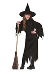 Velvet Witch with Hat
